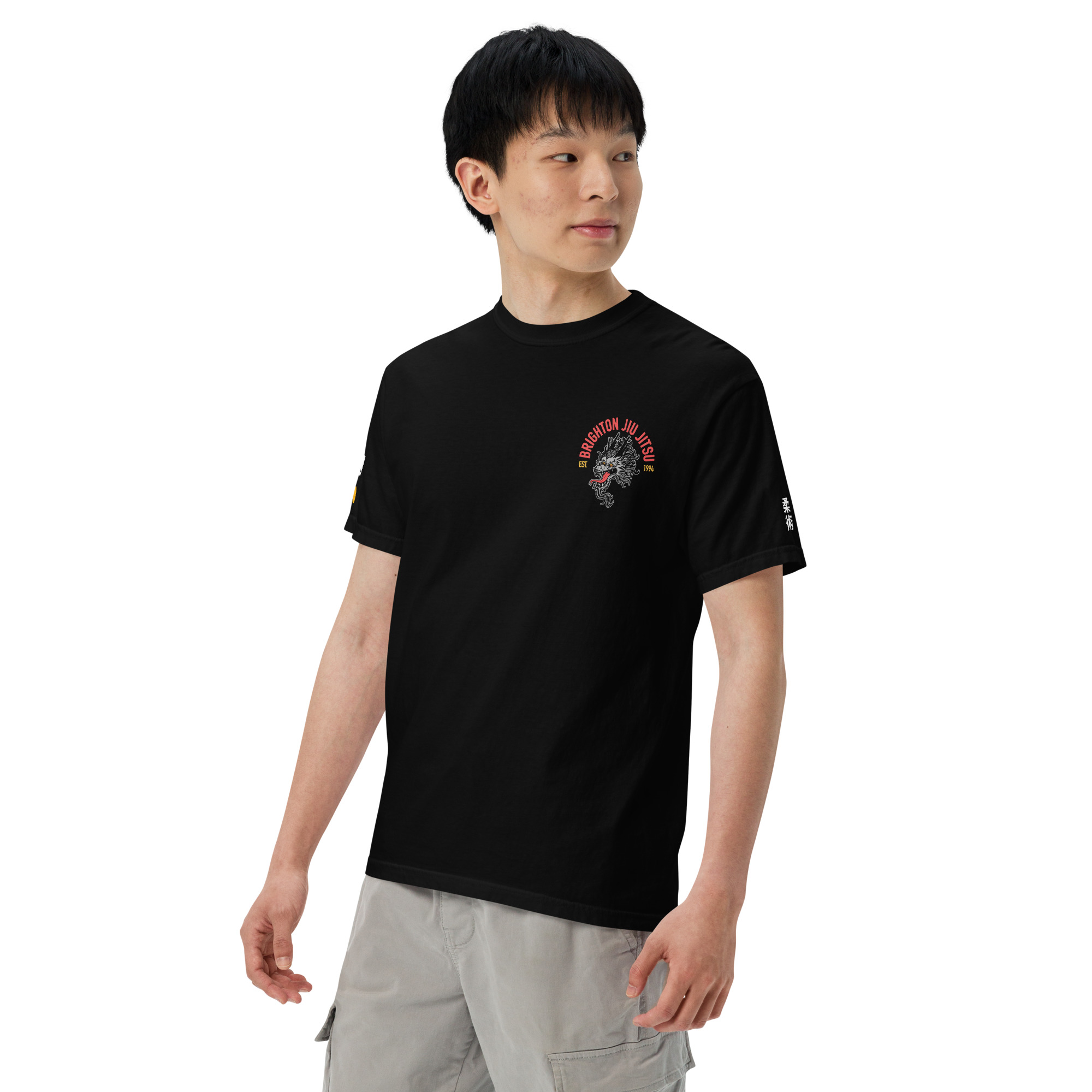unisex-garment-dyed-heavyweight-t-shirt-black-left-front-65801a8918517.jpg